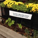 larger than life fortune cookie message